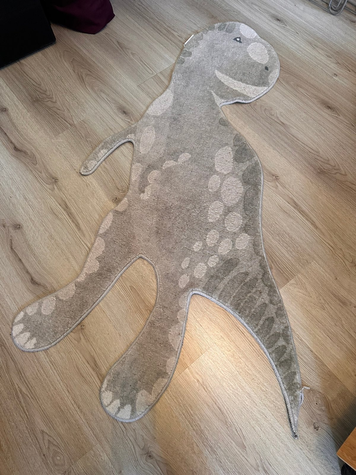 Zeer net Dino kleed, Ophalen, Zo goed als nieuw