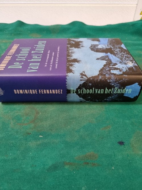 boek de school van het zuiden, Boeken, Ophalen of Verzenden