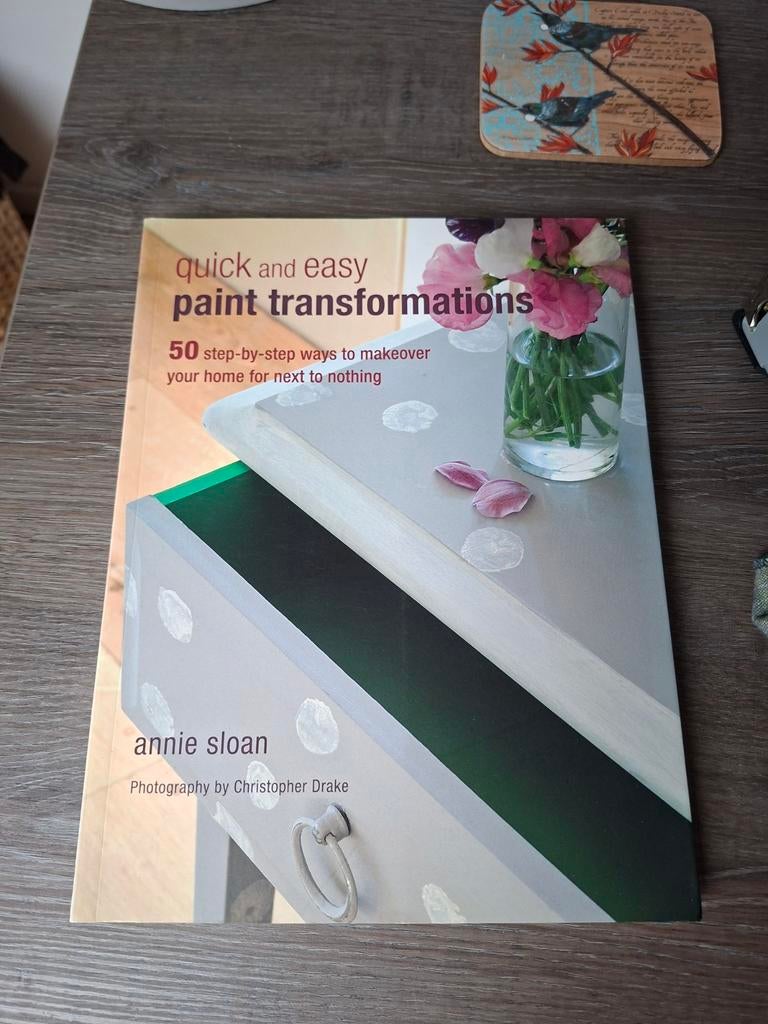 Quick and Easy Paint Transformations - Annie Sloan, Ophalen of Verzenden, Gelezen, Annie Sloan, Interieur en Design