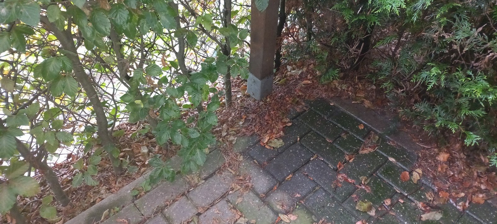 Grote overkapping/carport 2.5 x 10 meter (deelbaar), Tuin en Terras, Ophalen, Gebruikt, Carport