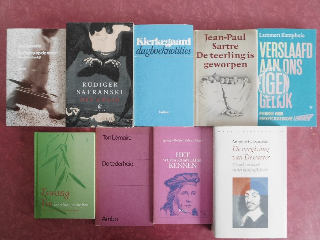 Filosofie boeken Kessels Safranski Kierkegaard Hegel, Ophalen of Verzenden, Zo goed als nieuw