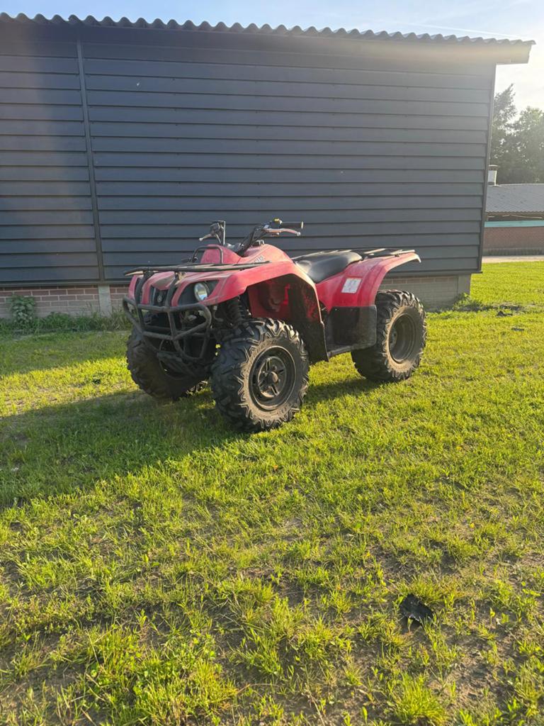 Yamaha grizzly 350, Motoren