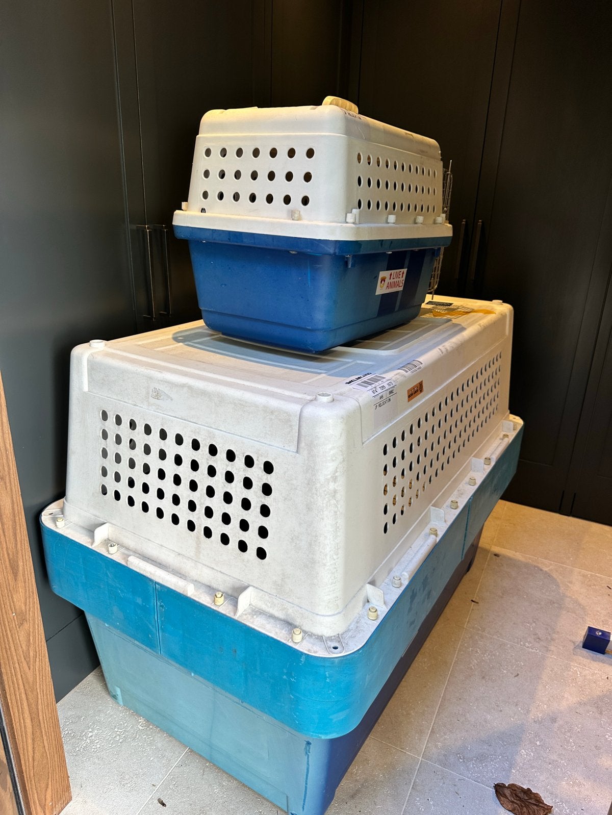 Reiskennel voor grote hond en kleine hond of kat, Dieren en Toebehoren, Ophalen of Verzenden, Gebruikt