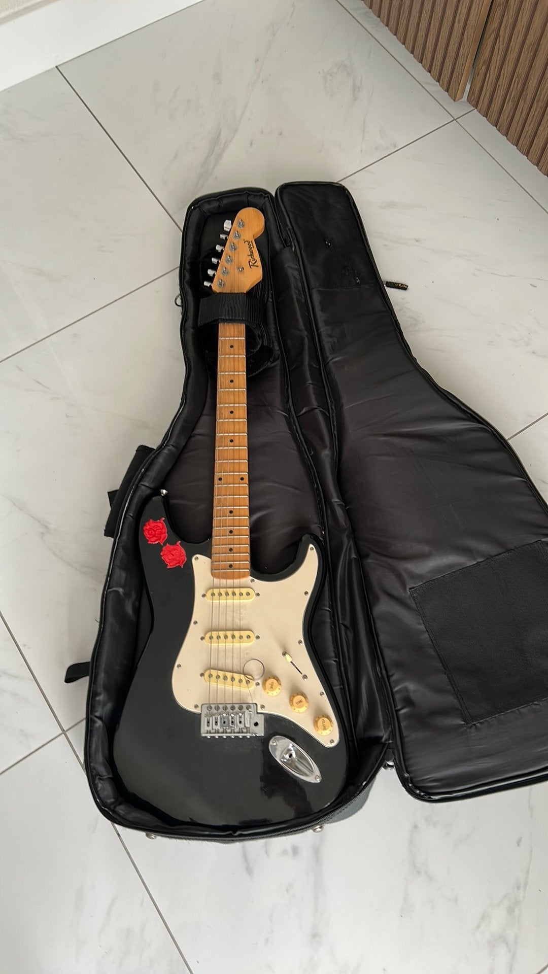 Richwood elektrische gitaar met versterker en hoes, Gebruikt, Met versterker, Solid body, Ophalen