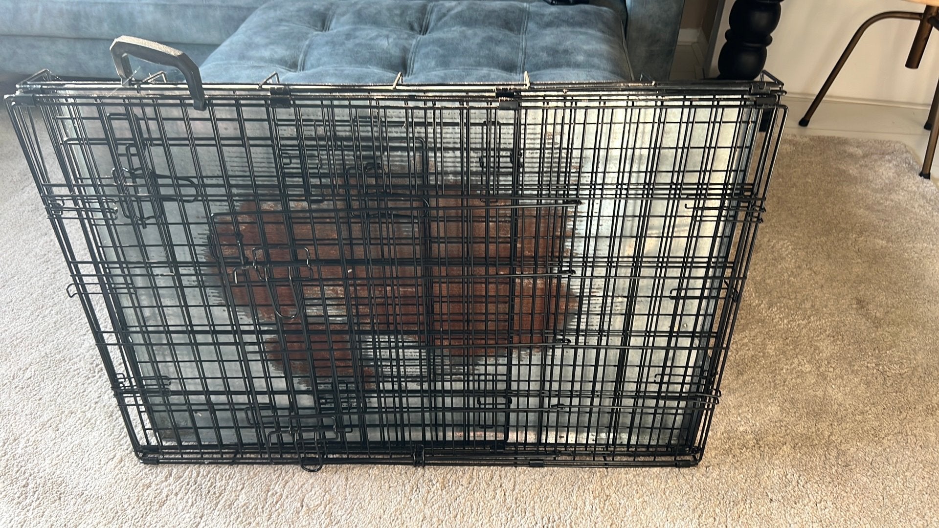 Bench, Dieren en Toebehoren, Ophalen, Gebruikt, 75 tot 110 cm, Minder dan 65 cm