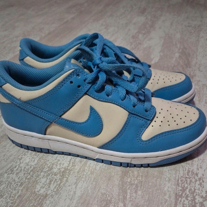 Nike Dunk Low - Maat 38,5, Kleding | Dames, Blauw, Nike, Ophalen of Verzenden, Sneakers of Gympen