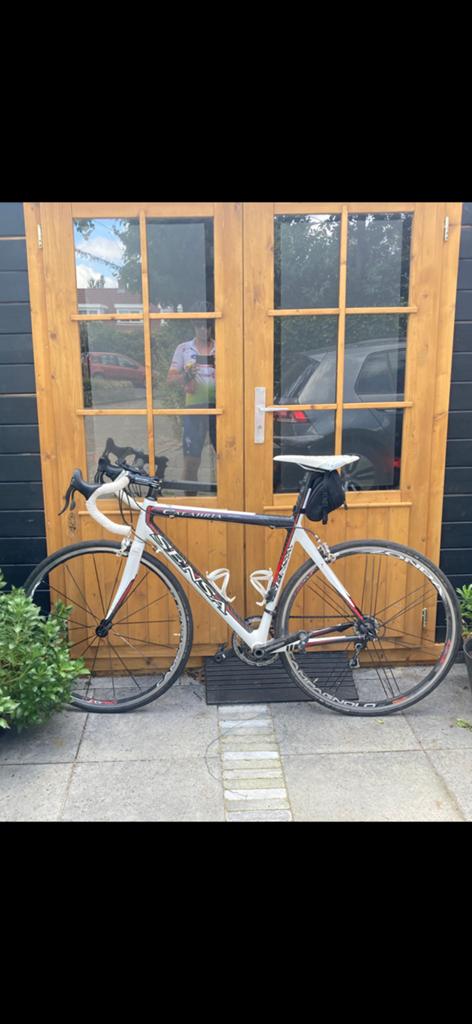 Racefiets Sensa calabria, Carbon, Heren, Zo goed als nieuw, 15 tot 20 versnellingen