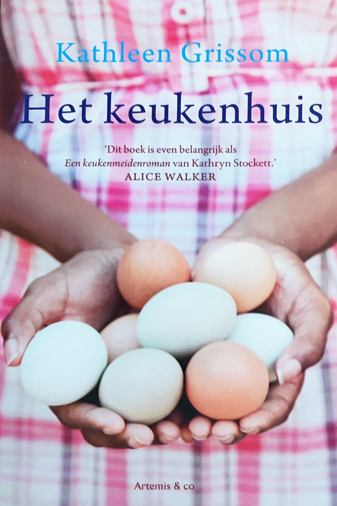 Het keukenhuis, Ophalen of Verzenden, Gelezen