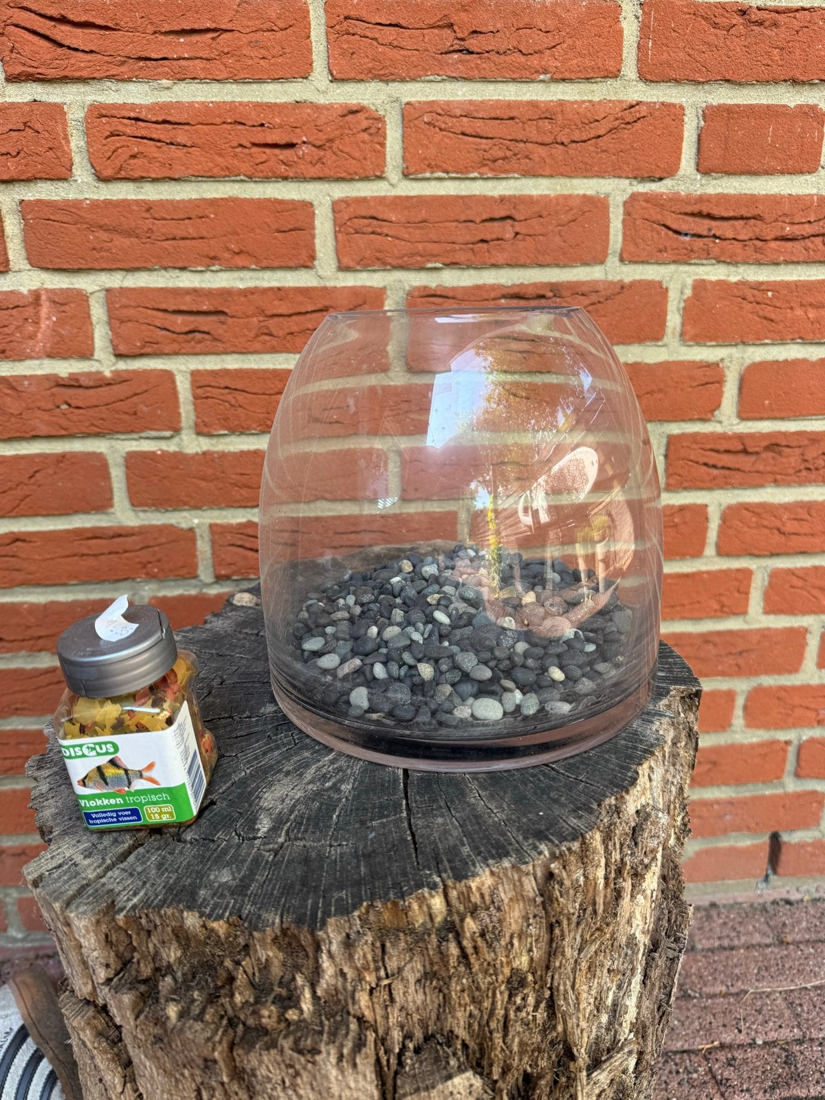 Vissenkom klein met potje vissenvoer, Ophalen, Zo goed als nieuw, Leeg aquarium