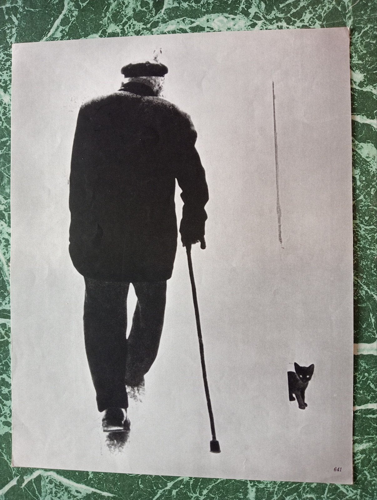 Fotogravure 1970 oude man met kitten, Ophalen of Verzenden