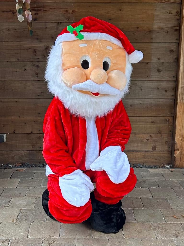 Kerst Mascotte Kostuums te huur slechts 25 euro per stuk, Ophalen of Verzenden, Zo goed als nieuw, Kostuum, Kerst of Sinterklaas