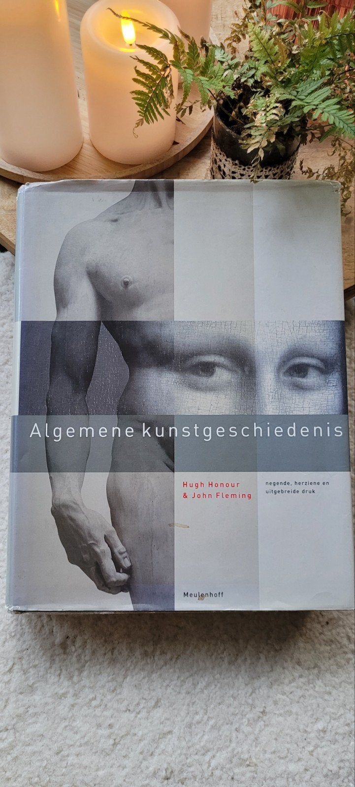 Algemene kunstgeschiedenis - Hugh Honour & John Fleming, Boeken, Ophalen of Verzenden