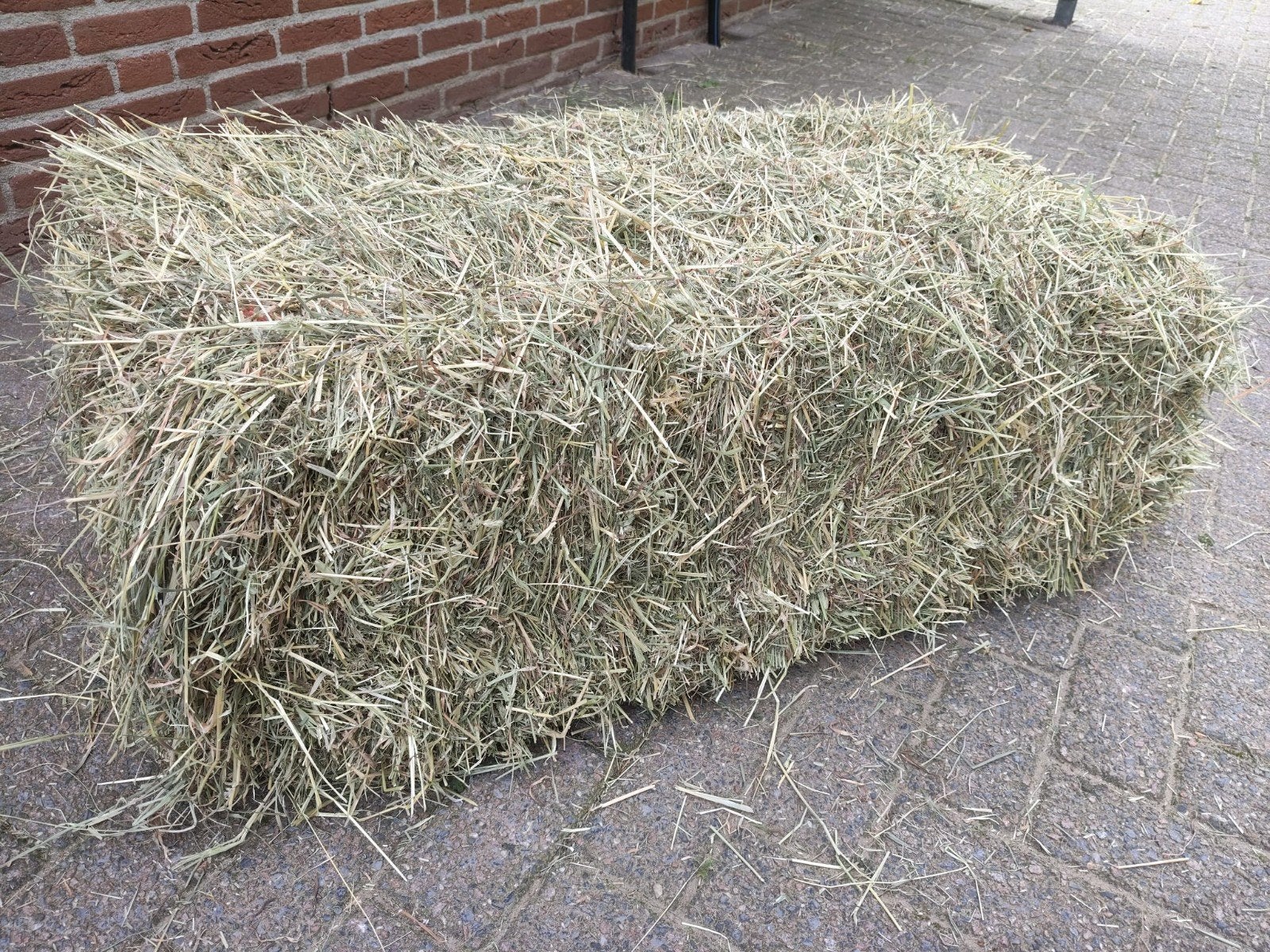 Kleine balen hooi met analyse, Ophalen, Vee