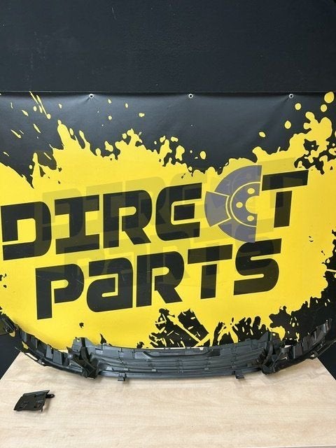 Peugeot 308 T9 (10/13-6/21)  Grille bumperversteviging Binne, -, Voor, -, Nieuw