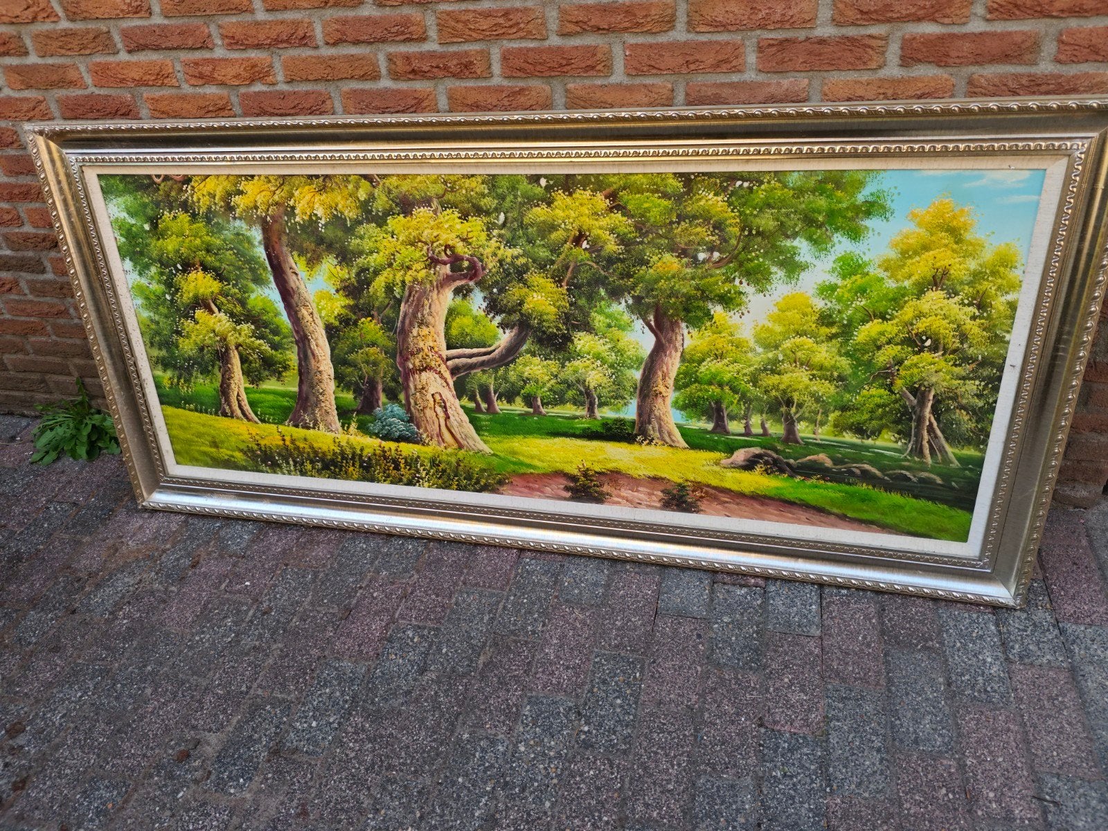 Groot Schilderij: Boslandschap met Weelderige Bomen, Ophalen