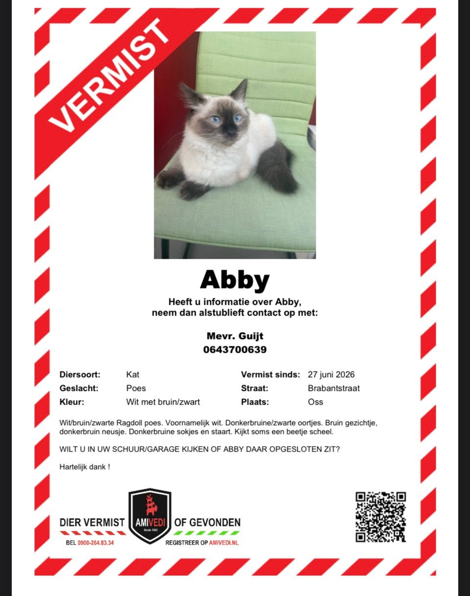 Abby VERMIST!, Dieren en Toebehoren, Vermiste en Gevonden Dieren, Kat