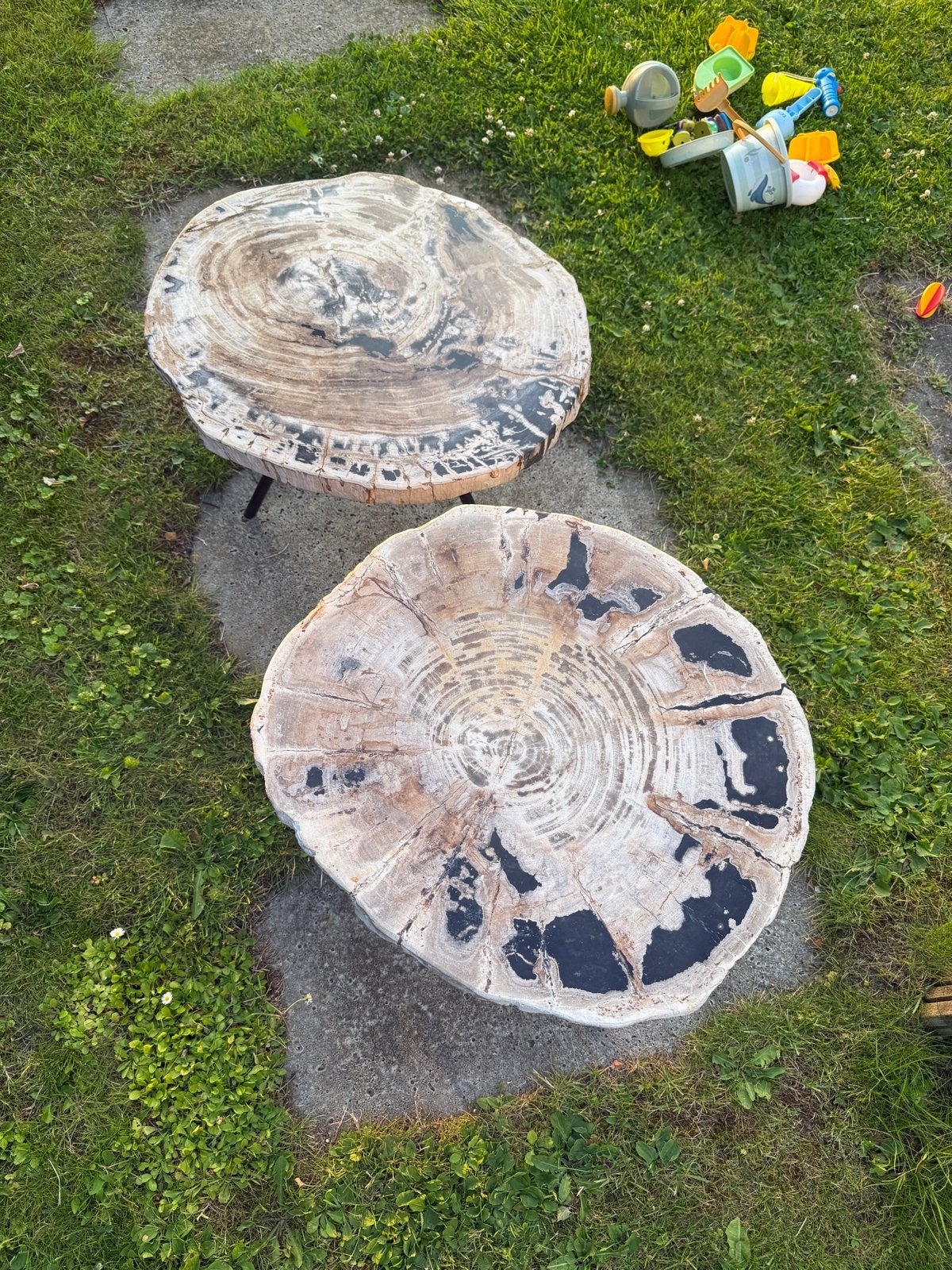 2x Petrified Wood Salontafels - Zwaar & Uniek Design, Ophalen, Overige materialen, Rond, 50 tot 100 cm