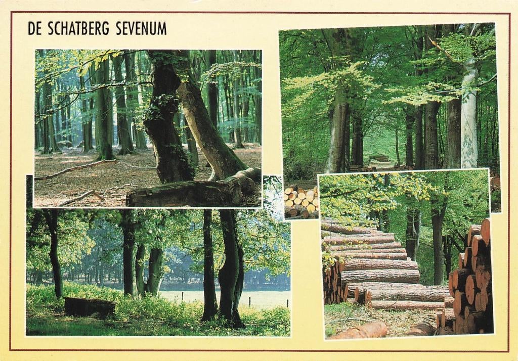 De Schatberg Sevenum, Ophalen of Verzenden, 1980 tot heden, Gelopen, Limburg