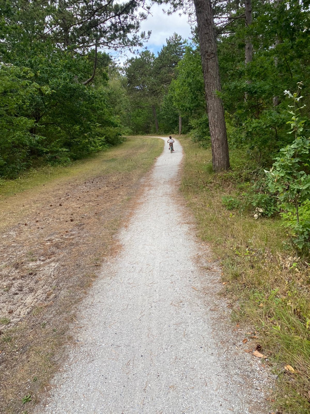 Gezocht: startbewijs 10km Vlieland 2026, Eén persoon