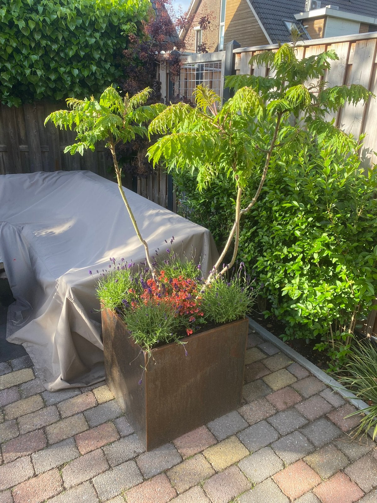 Cortenstalen bloembak 60x60x60cm, Tuin en Terras, Ophalen, Vierkant, Nieuw, Balkon