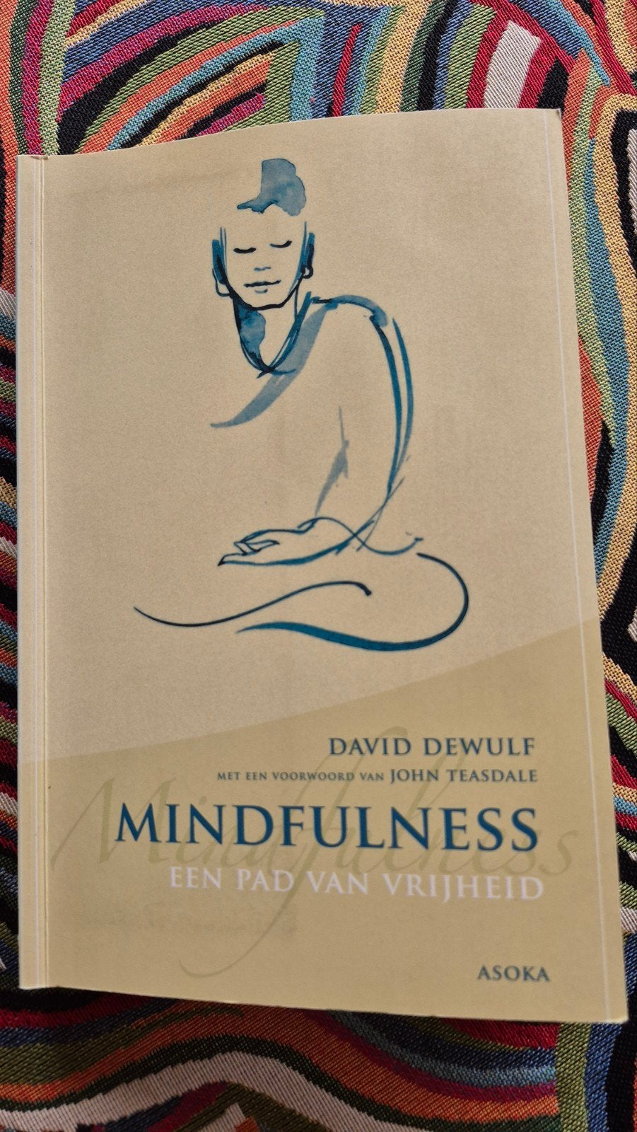 David Dewulf - Mindfulness, Boeken, Ophalen of Verzenden, Zo goed als nieuw, David Dewulf