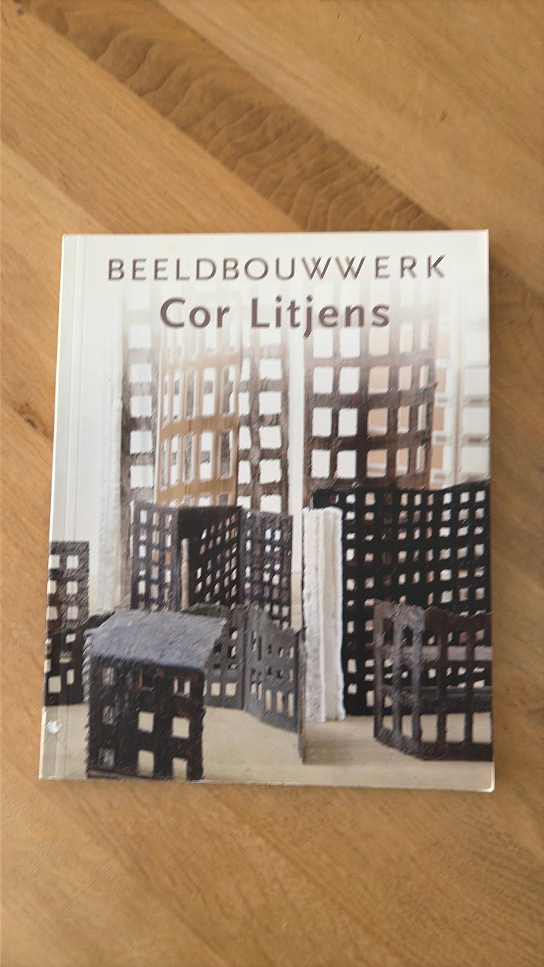 Beeldbouwwerk - Cor Litjens, Ophalen of Verzenden, Gelezen, Beeldhouwkunst