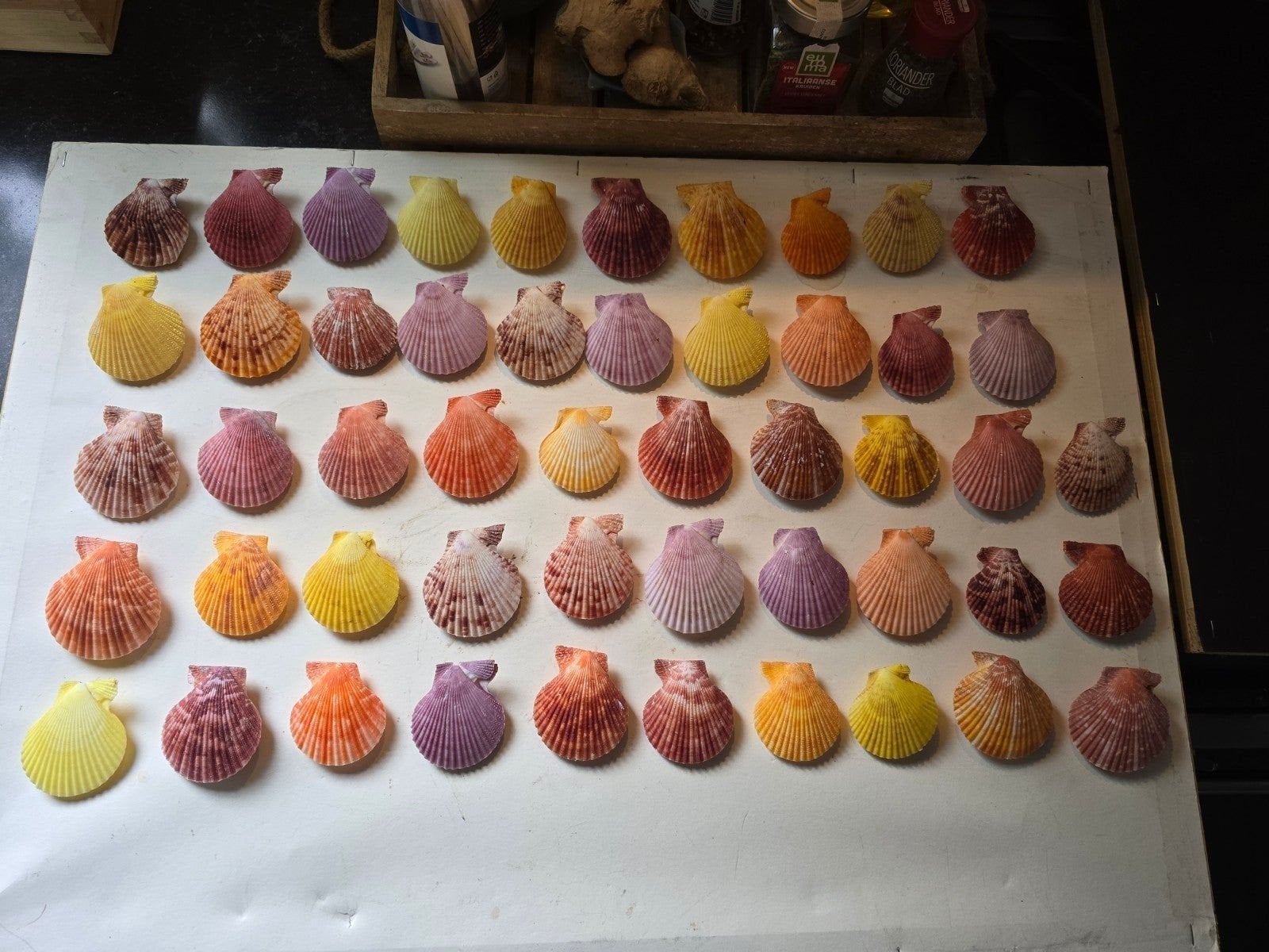 Mooie kleuren hebben deze, de kleuren zijn echt.
Ze mogen we, Ophalen of Verzenden