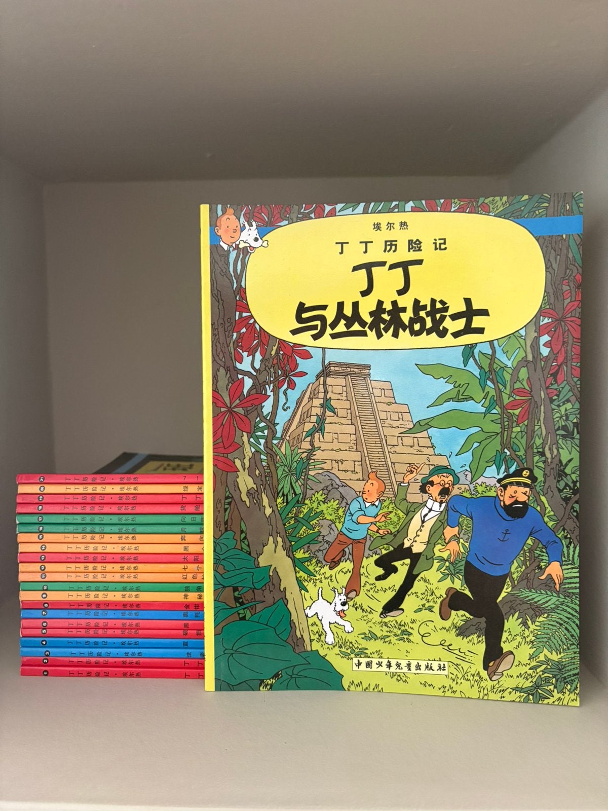 Kuifje/Tintin 22 stripboeken softcover Chinees A5, Boeken, Complete serie of reeks, Ophalen of Verzenden, Zo goed als nieuw