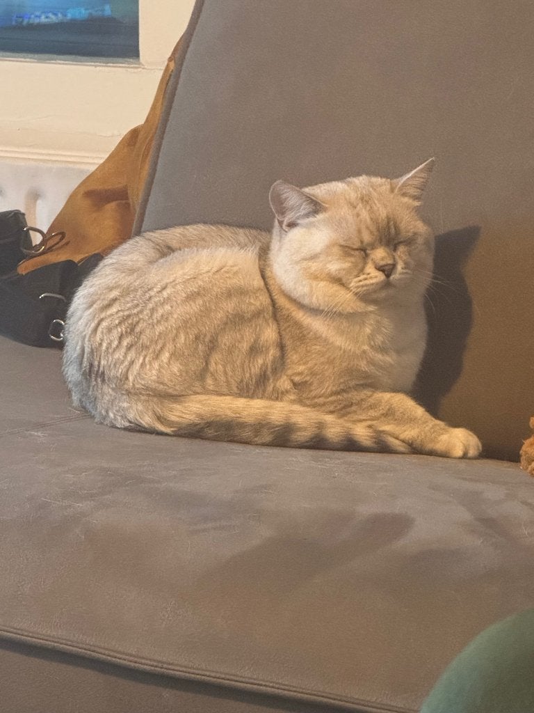 Kater, Kater, 0 tot 2 jaar