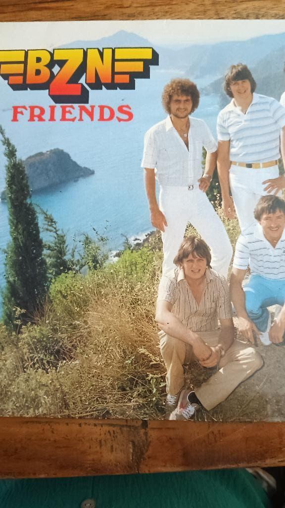 BZN fiends lp, Inclusief binnenhoes, Ophalen, Gebruikt, 12 inch