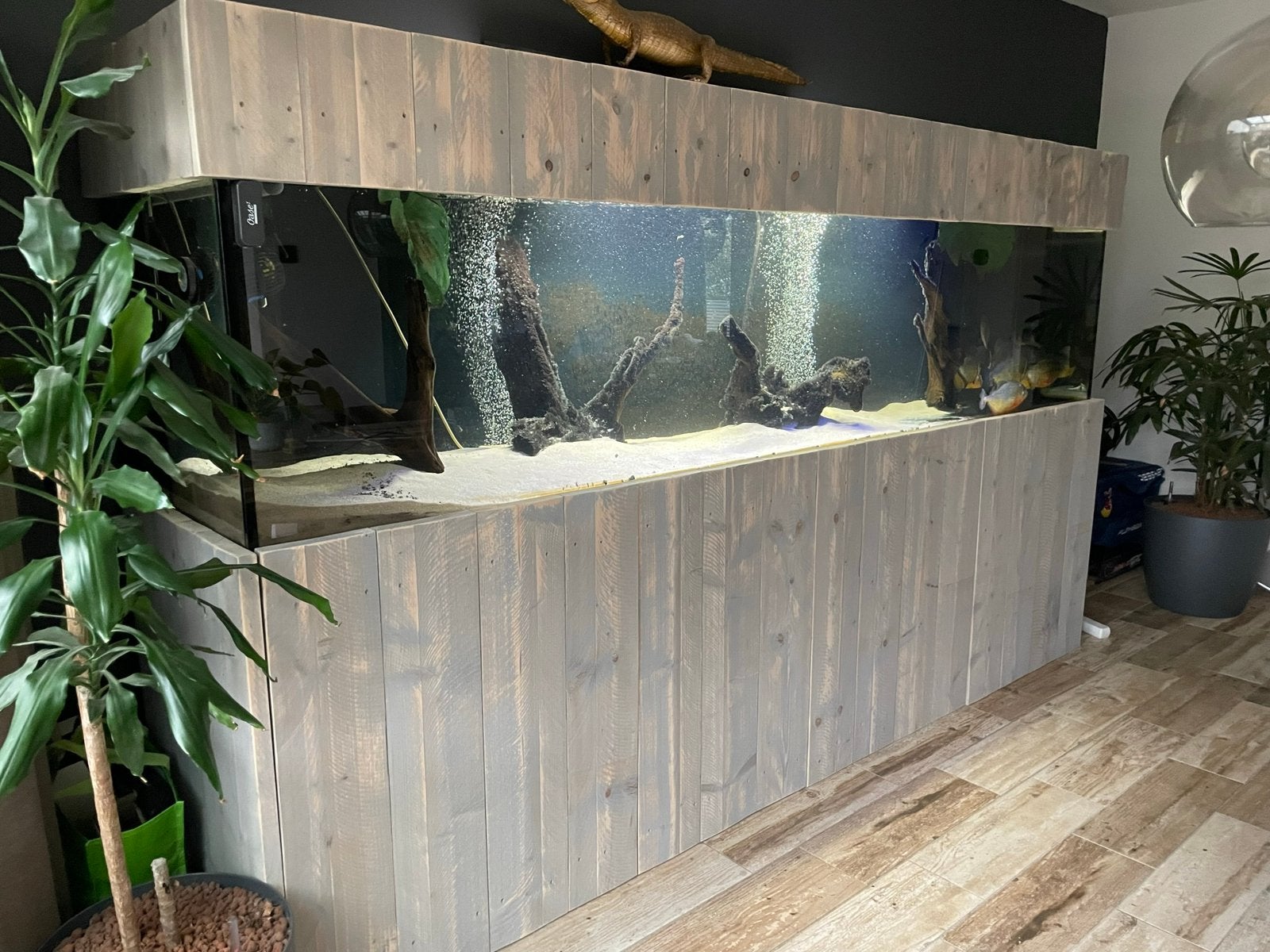 Volglas aquarium 300x70x70cm, Ophalen, Overige merken, Zo goed als nieuw, Leeg aquarium