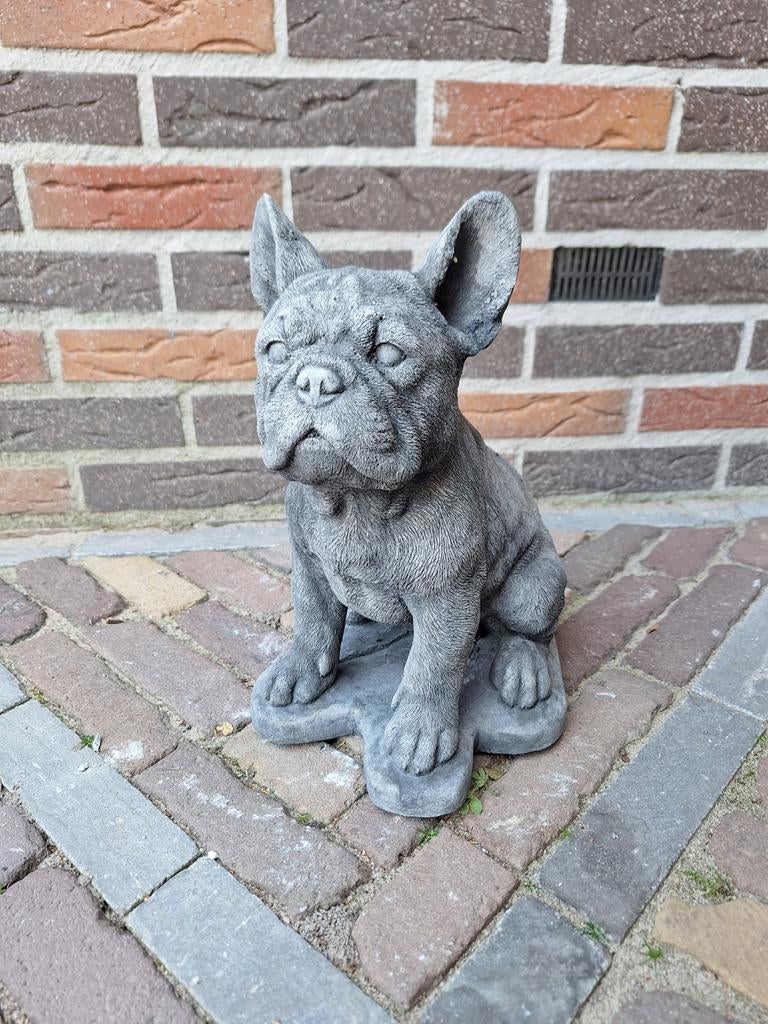 Betonbeeld Franse Buldog, Ophalen, Nieuw, Beton, Dierenbeeld