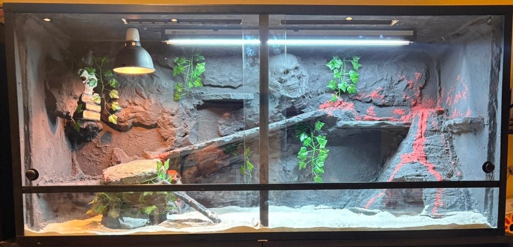 "Skull" Terrarium 150x50x70, Ophalen of Verzenden, Nieuw, Terrarium of Paludarium