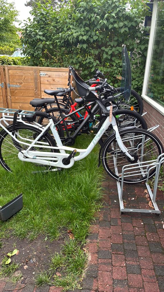 Stella fiore elektrische fiets (kapotte computer), Ophalen, Gebruikt, Overige merken