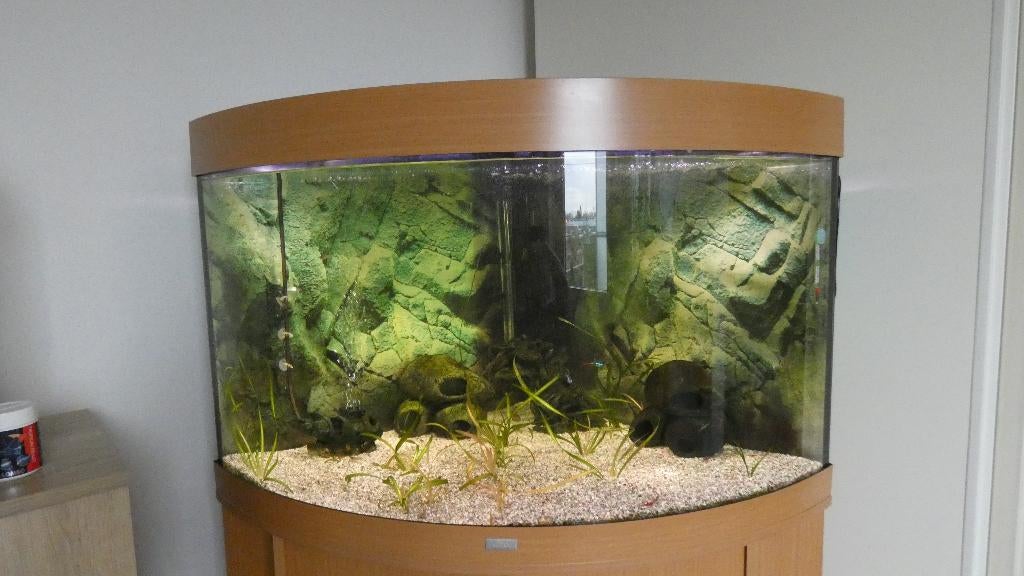 Juwel hoek aquarium trigion 190l, Dieren en Toebehoren, Vissen | Aquaria en Toebehoren, Ophalen, Gebruikt, Leeg aquarium