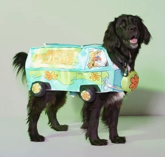 Mystery Machine Hondenkostuum Scooby-Doo van Rubie petshop, Ophalen of Verzenden, Nieuw, Hondenkostuum
