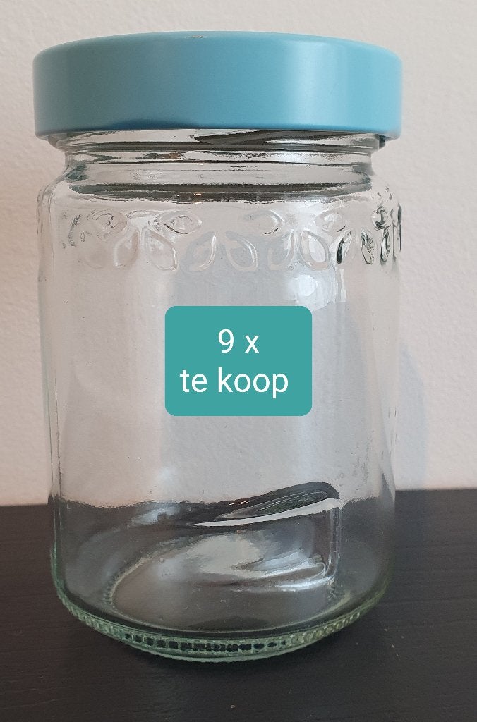 Jampotjes inmaken jam maken lege potjes inmiddels 12 stuks, Verzenden, Zo goed als nieuw, Voorraadpot, Overige merken