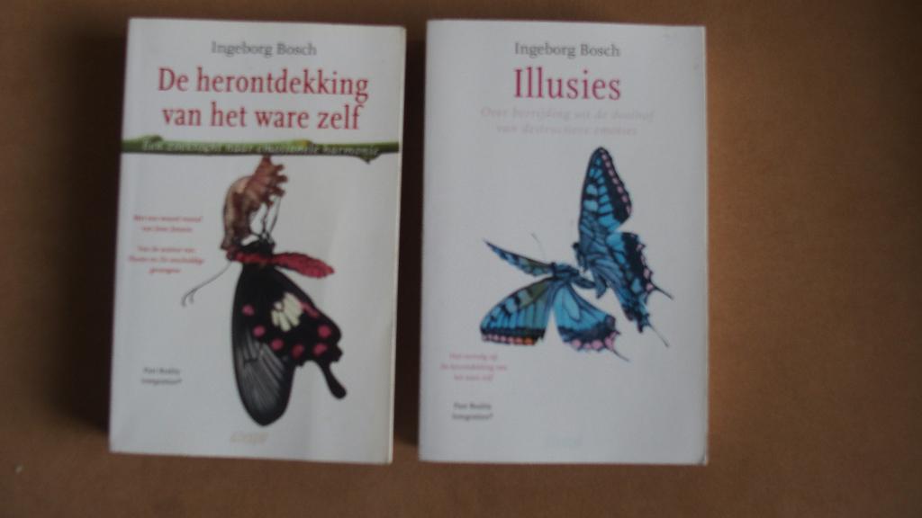 2x Ingeborg Bosch - De herontdekking van... en IIllusies, Ophalen of Verzenden, Zo goed als nieuw, Persoonlijkheidsleer, Ingeborg Bosch