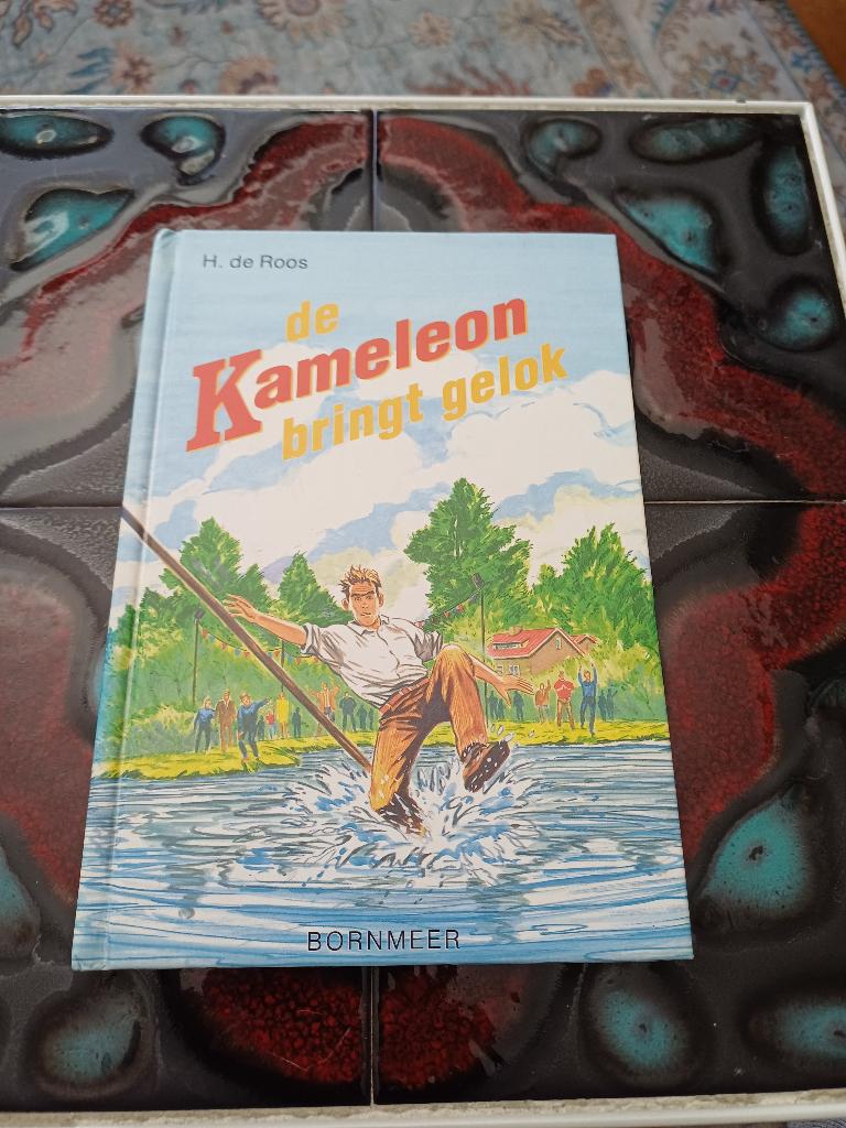 De Kameleon bringt gelok ( Fries boek ), Ophalen of Verzenden, Gelezen, H. de Roos