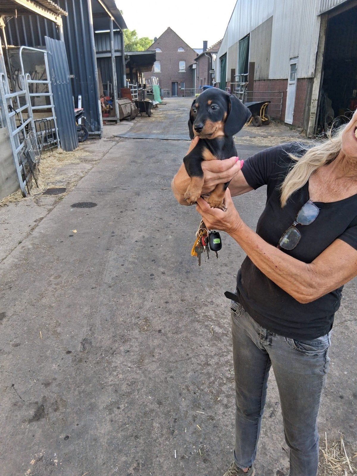 Super schöne Zwergdackel, Dieren en Toebehoren, Ophalen, Hond