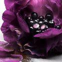 Lancôme La Nuit Trésor Eau de Parfum - Damesparfum, N, N, Nieuw, Ophalen of Verzenden