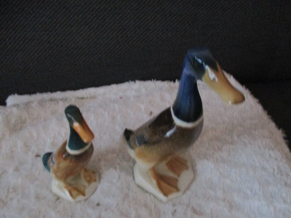 2 porseleinen eenden, Ophalen of Verzenden, Zo goed als nieuw, Dier