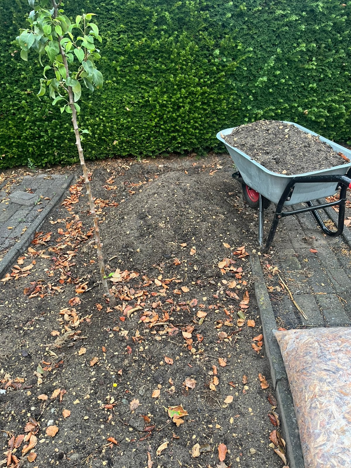 Zwart zand (+/- 0,5 m3), Ophalen, Gebruikt, Overige typen