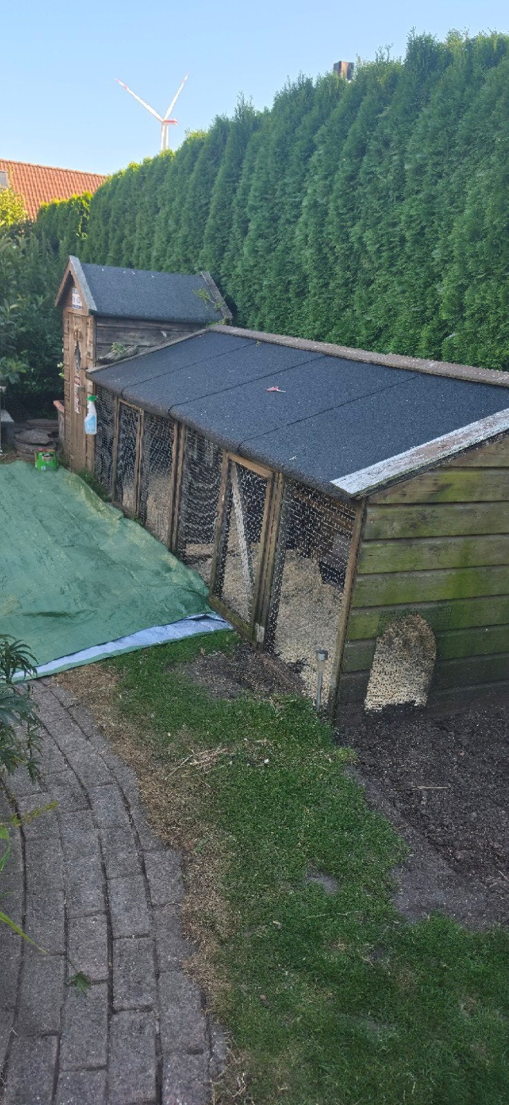 gratis kippenhok met ren oer degelijk, Ophalen, Gebruikt, Kippenhok of Kippenren