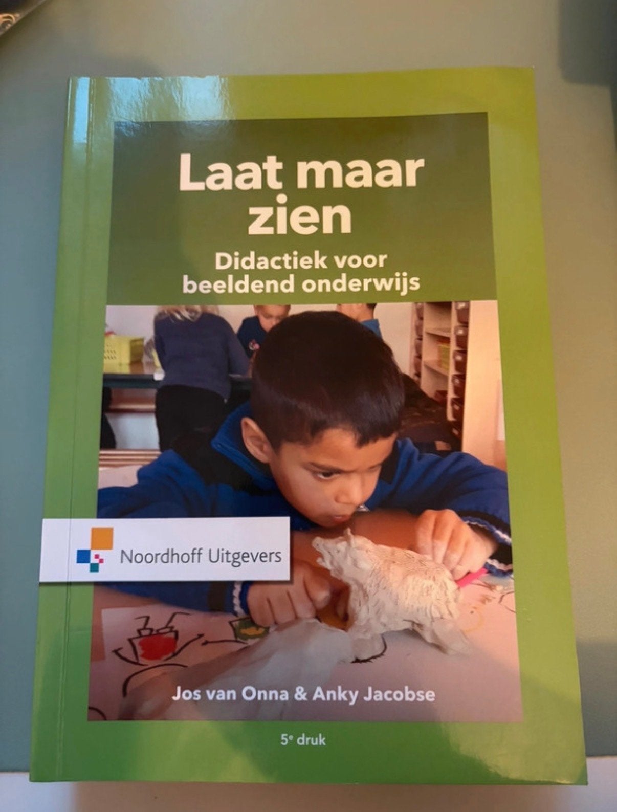 Laat maar zien - Didactiek voor beeldend onderwijs (Pabo), Ophalen of Verzenden, Zo goed als nieuw, HBO