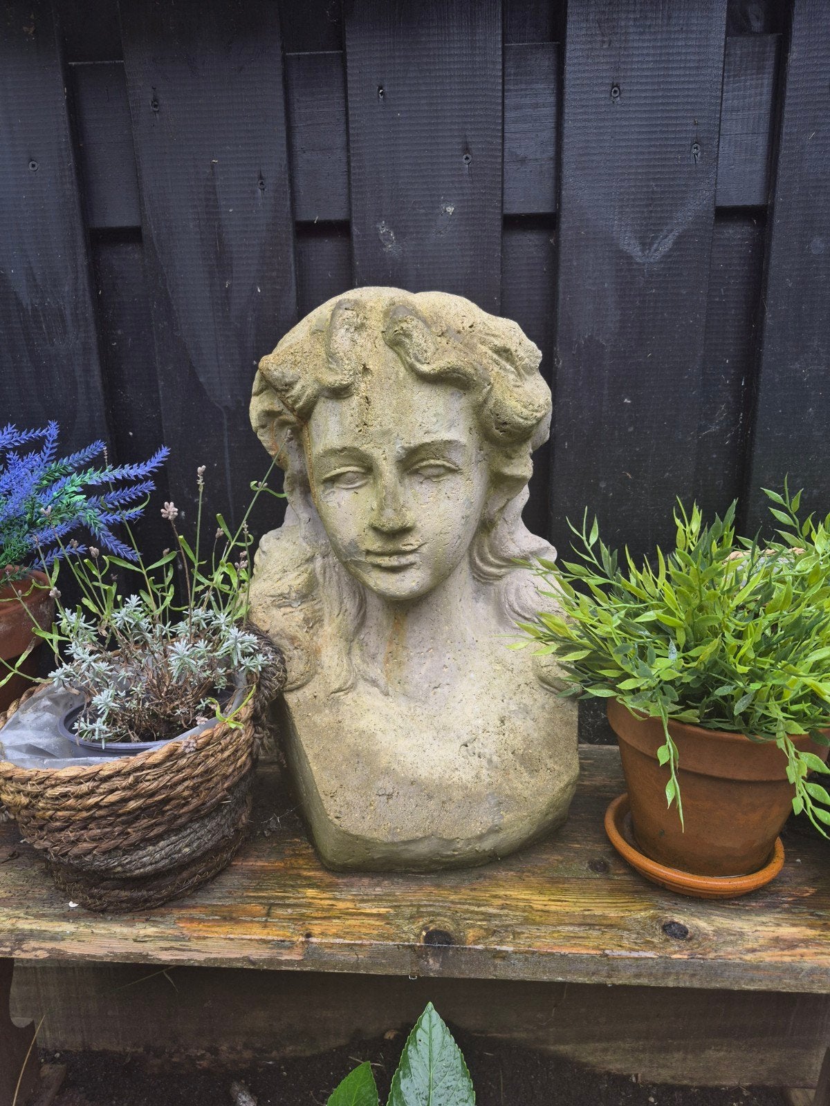 Decoratieve Buste van Vrouw in Steen, Ophalen, Weerbestendig, Buste, 50 - 100 cm