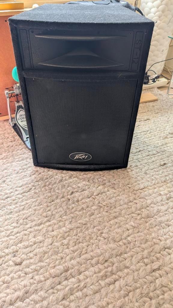 Peavey ST 12 Box - Krachtige Speaker, Ophalen