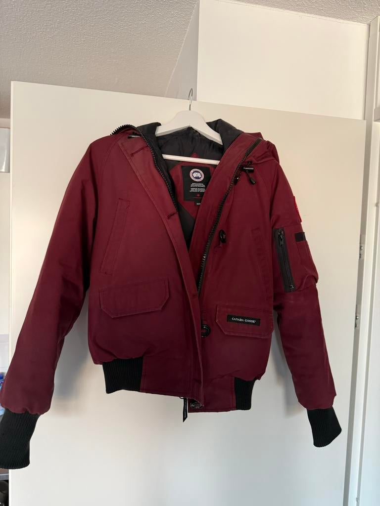 Originele Canada Goose chilliwack bordeauxrood XS met bon, Ophalen of Verzenden, Gedragen, Maat 34 (XS) of kleiner, Rood