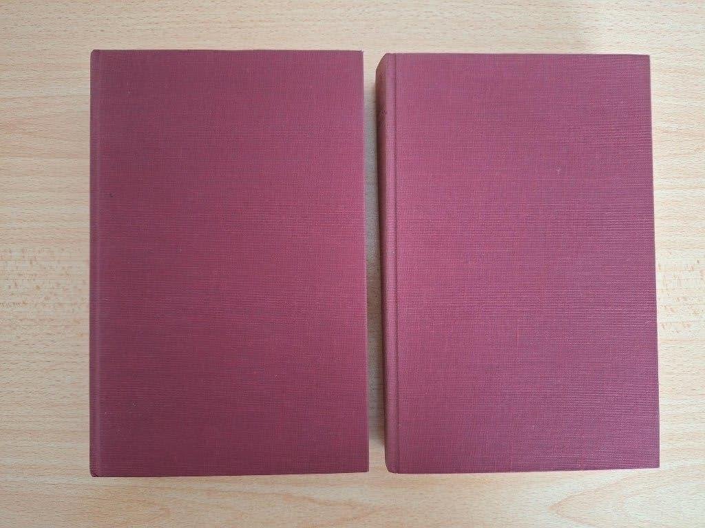 De Ondergang, J. Presser, deel 1 en 2, 1940-1945, Jodendom, Ophalen of Verzenden, Gelezen, Geschiedenis en Politiek