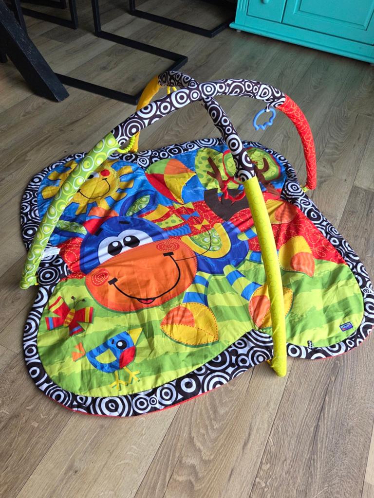 Vrolijk speelkleed met babygym - PlayGo, Ophalen, Gebruikt, Babygym